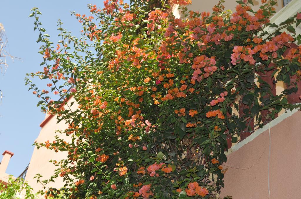 شقة Zina مراكش الغرفة الصورة
